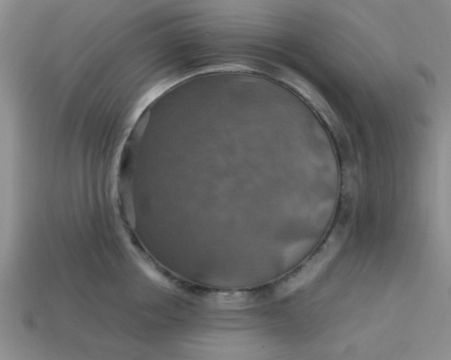 X0000113780858200910071222