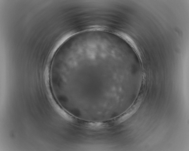 X0000113780859200910071222