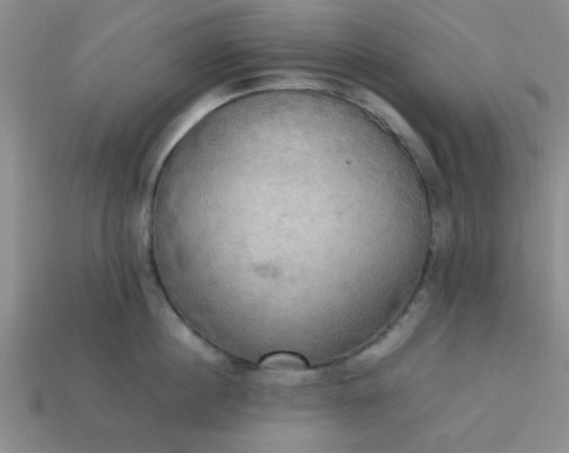 X0000113780860200910071222