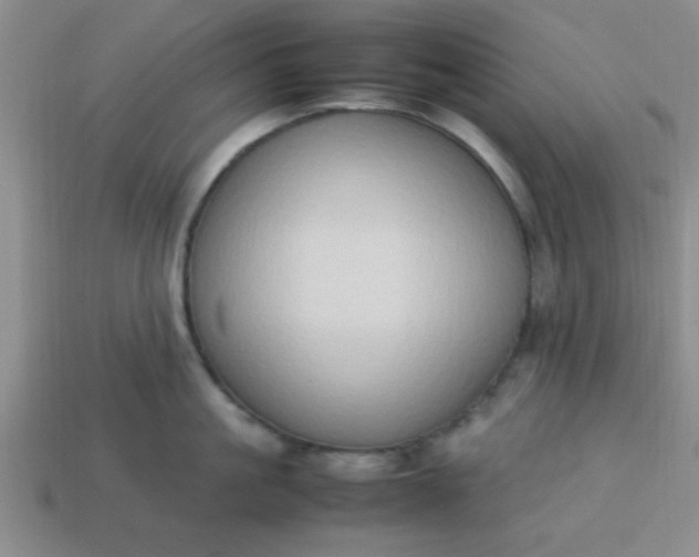 X0000113780861200910071222