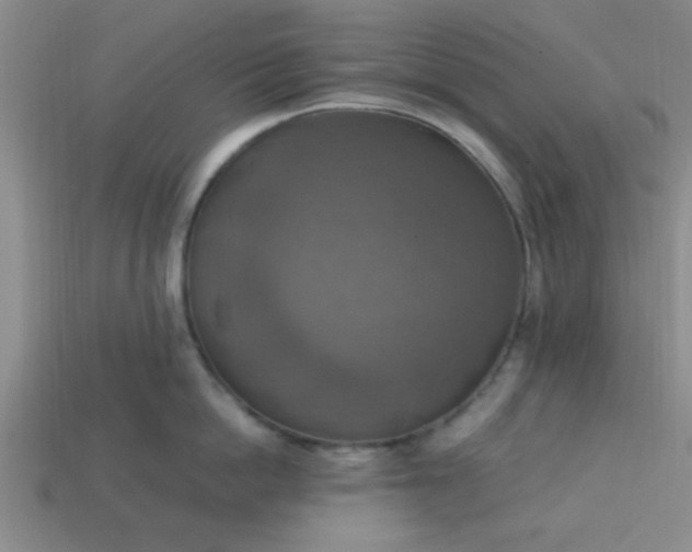 X0000113780862200910071222