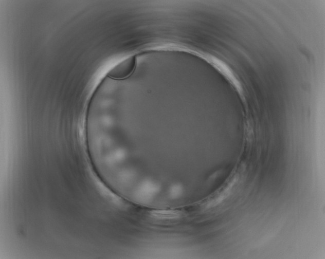 X0000113780863200910071222