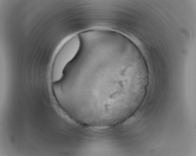 X0000113780864200910071222