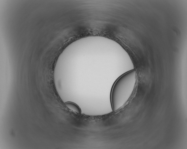 X0000113780865200910071222