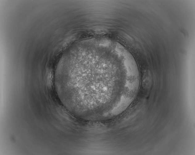 X0000113780866200910071222