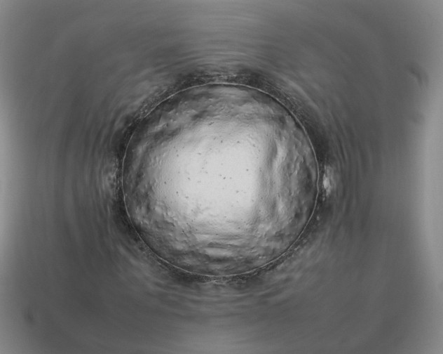 X0000113780867200910071222