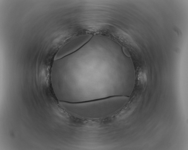 X0000113780868200910071222