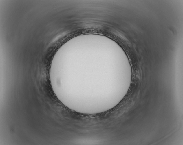 X0000113780869200910071222