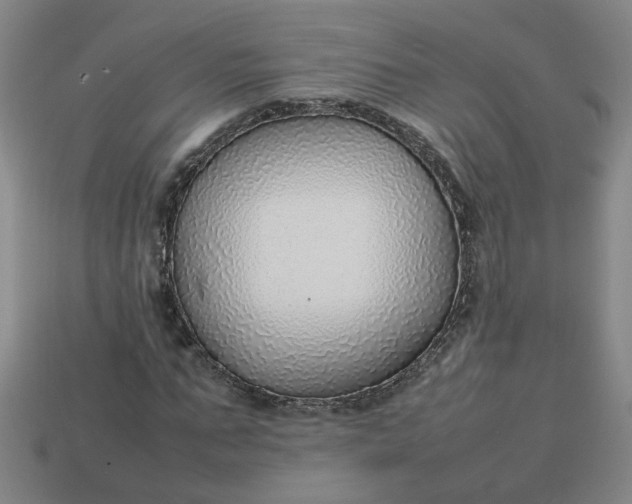 X0000113780871200910071222