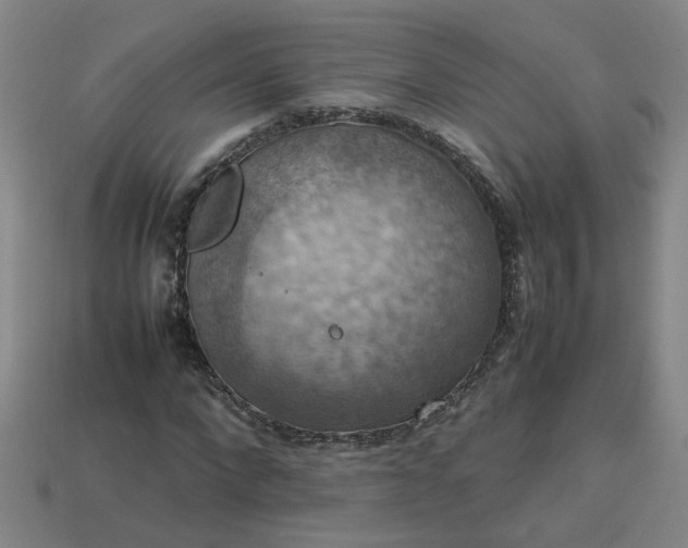 X0000113780872200910071222