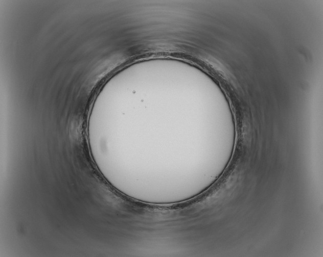 X0000113780873200910071222