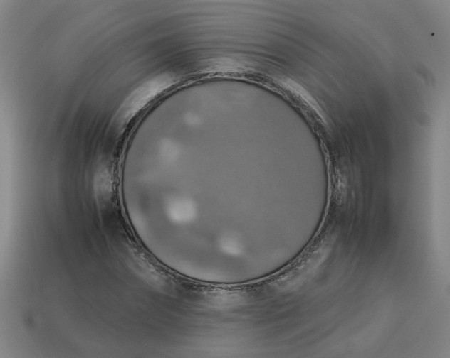 X0000113780874200910071222