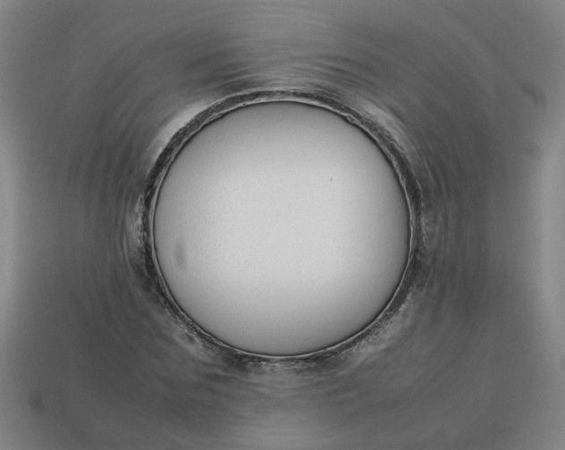 X0000113780875200910071222