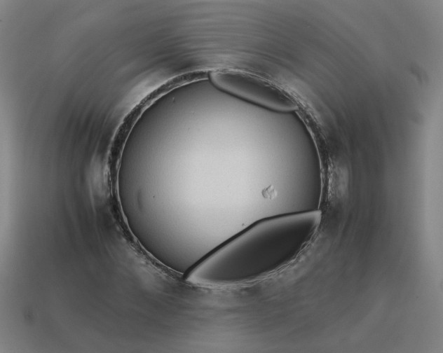 X0000113780876200910071222