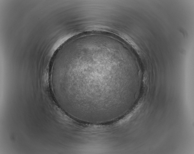 X0000113780877200910071222