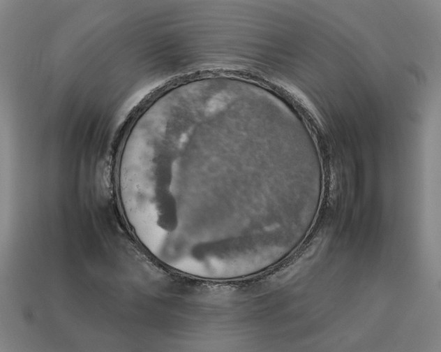 X0000113780878200910071222