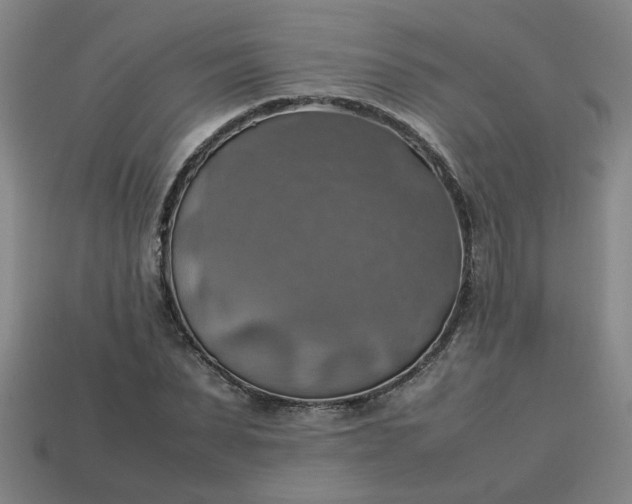 X0000113780879200910071222