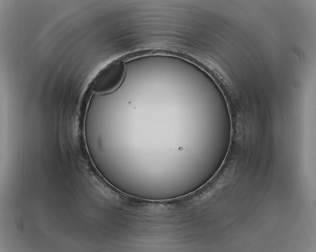 X0000113780880200910071221