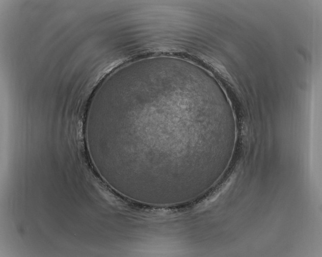 X0000113780881200910071221