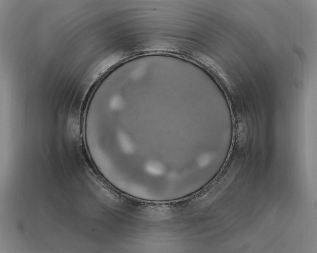 X0000113780882200910071221