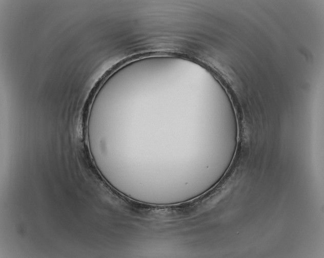 X0000113780883200910071221