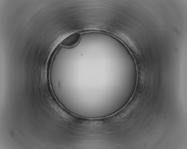 X0000113780884200910071221