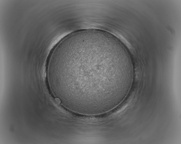 X0000113780885200910071221