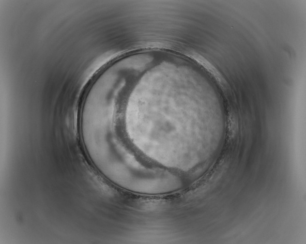 X0000113780886200910071221