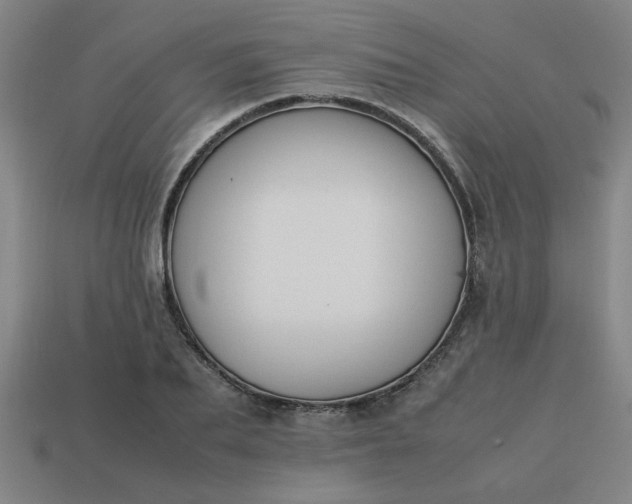 X0000113780887200910071221