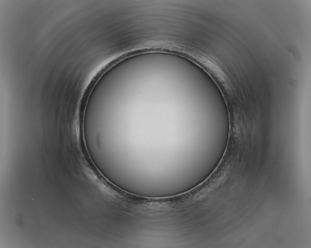 X0000113780888200910071221