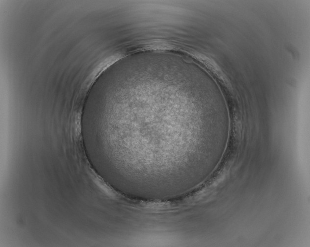 X0000113780889200910071221