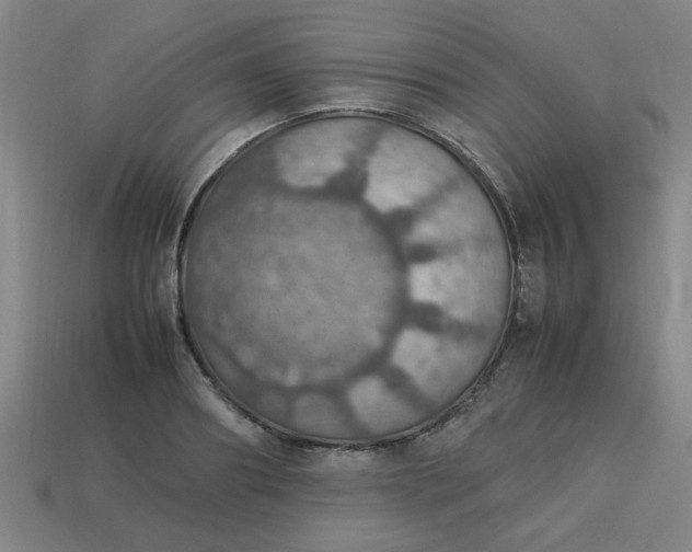 X0000113780890200910071221