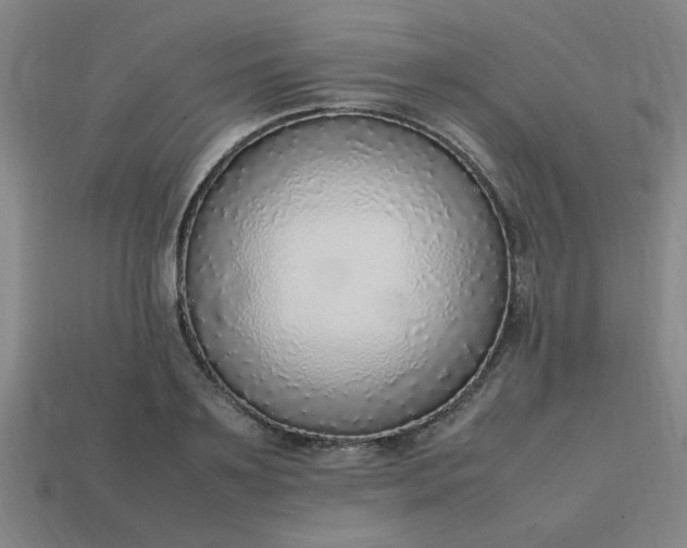 X0000113780891200910071221