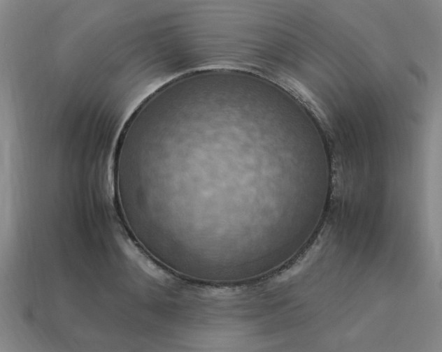 X0000113780892200910071221