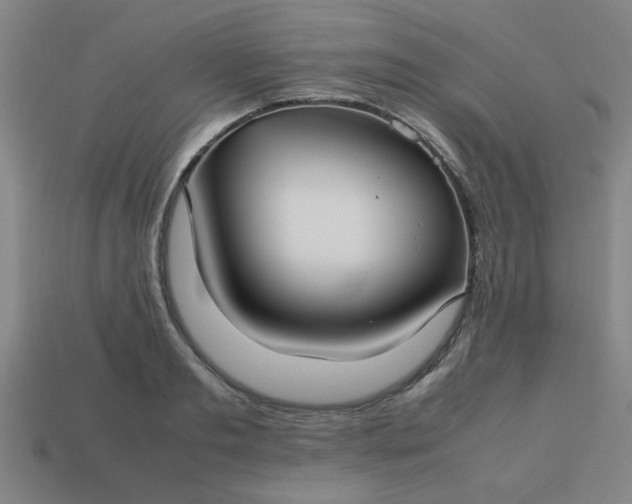 X0000113780893200910071221