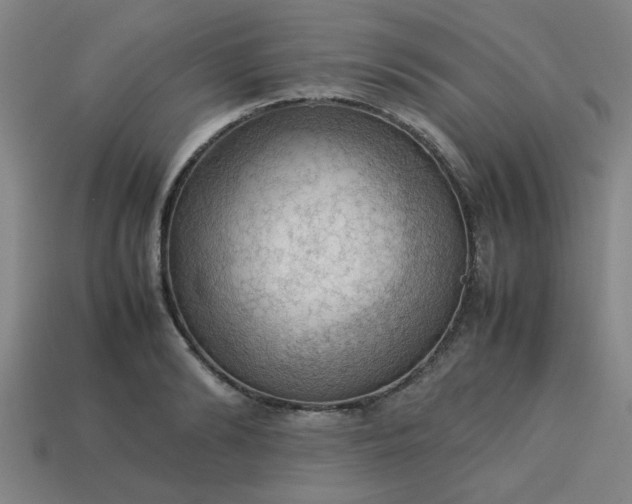 X0000113780894200910071221