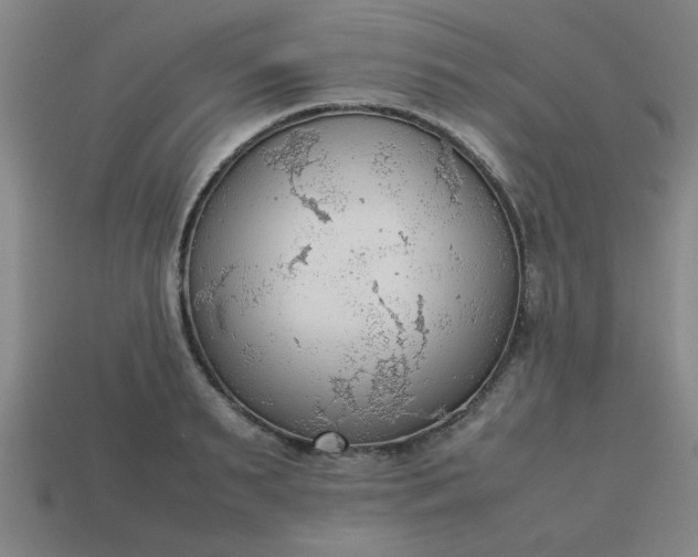 X0000113780895200910071221