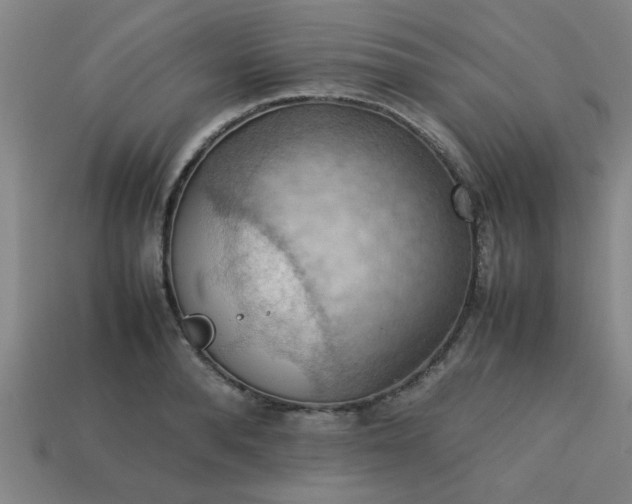 X0000113780896200910071221