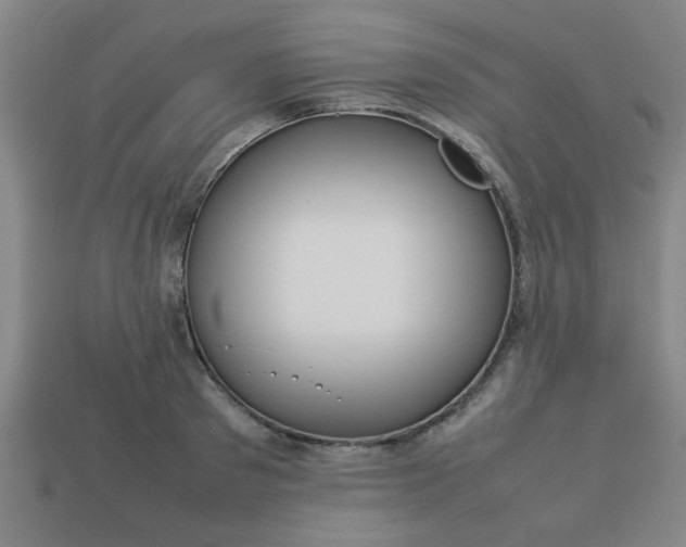 X0000113780897200910071221