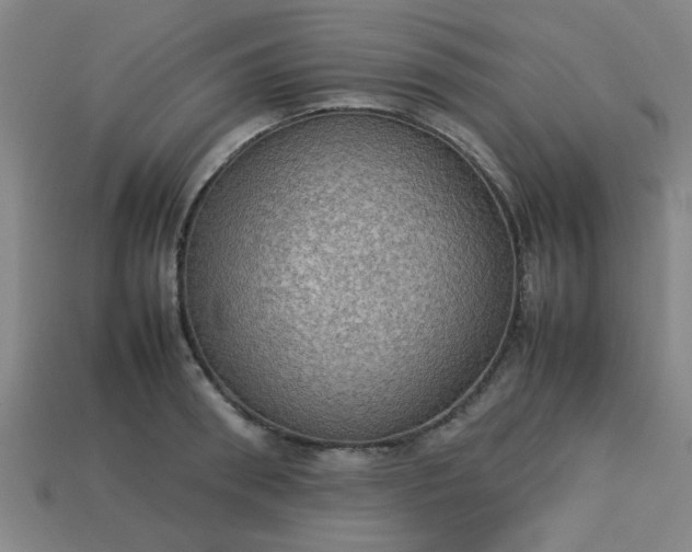 X0000113780898200910071221