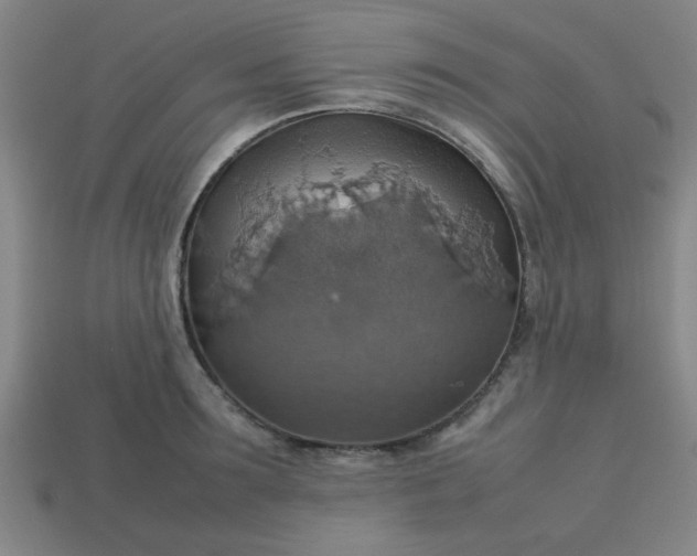 X0000113780899200910071221