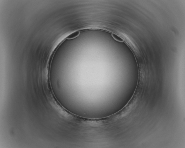 X0000113780900200910071221