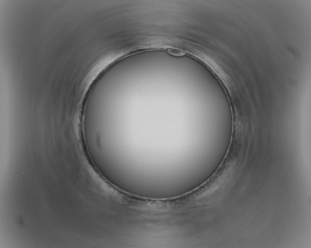 X0000113780901200910071221