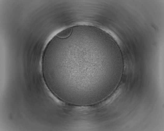 X0000113780902200910071221