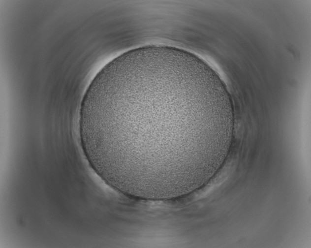 X0000113780903200910071221