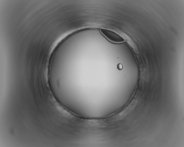 X0000113780904200910071221