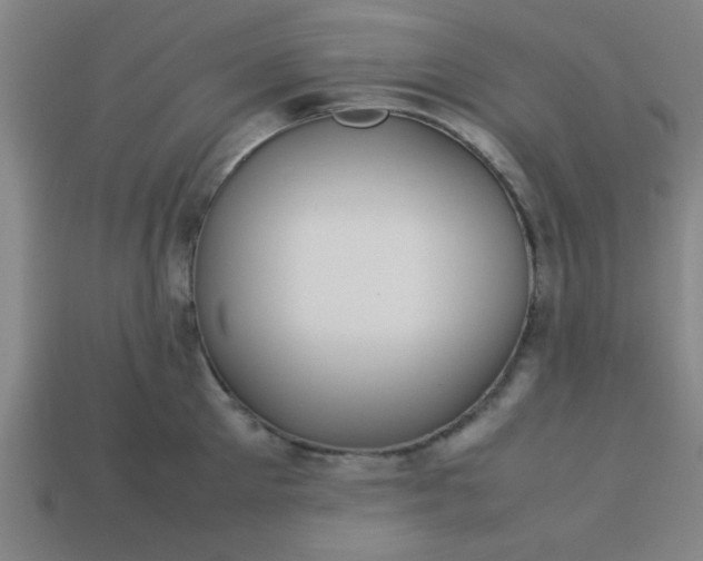 X0000113780905200910071221