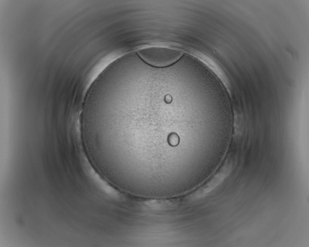 X0000113780906200910071221