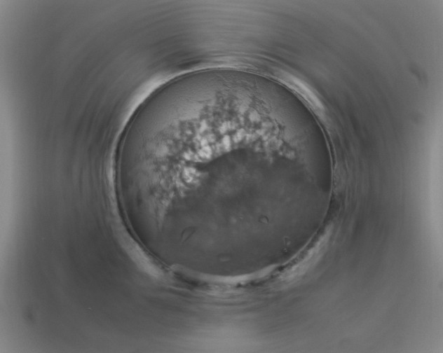 X0000113780907200910071221