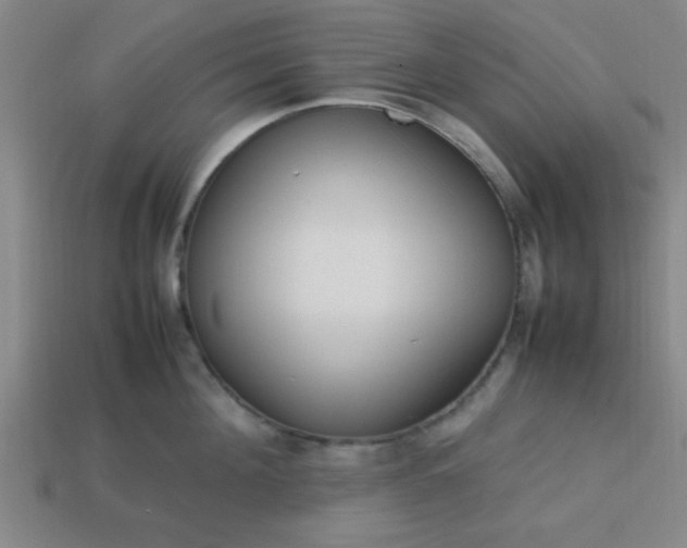 X0000113780908200910071221